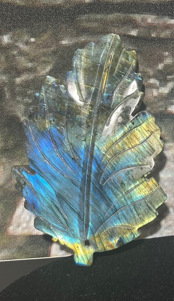 Labradorite Leaf stone/crystal carving